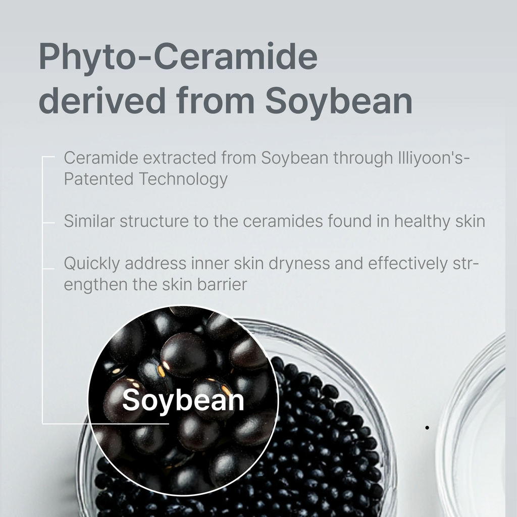 ILLIYOON Ceramide Ato Concentrate Cream | 100H Hydration, Plant-Sourced Ceramides | Vegan & Fragrance-Free